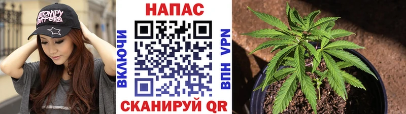 это наркотические препараты Струнино Бошки марихуана OG Kush